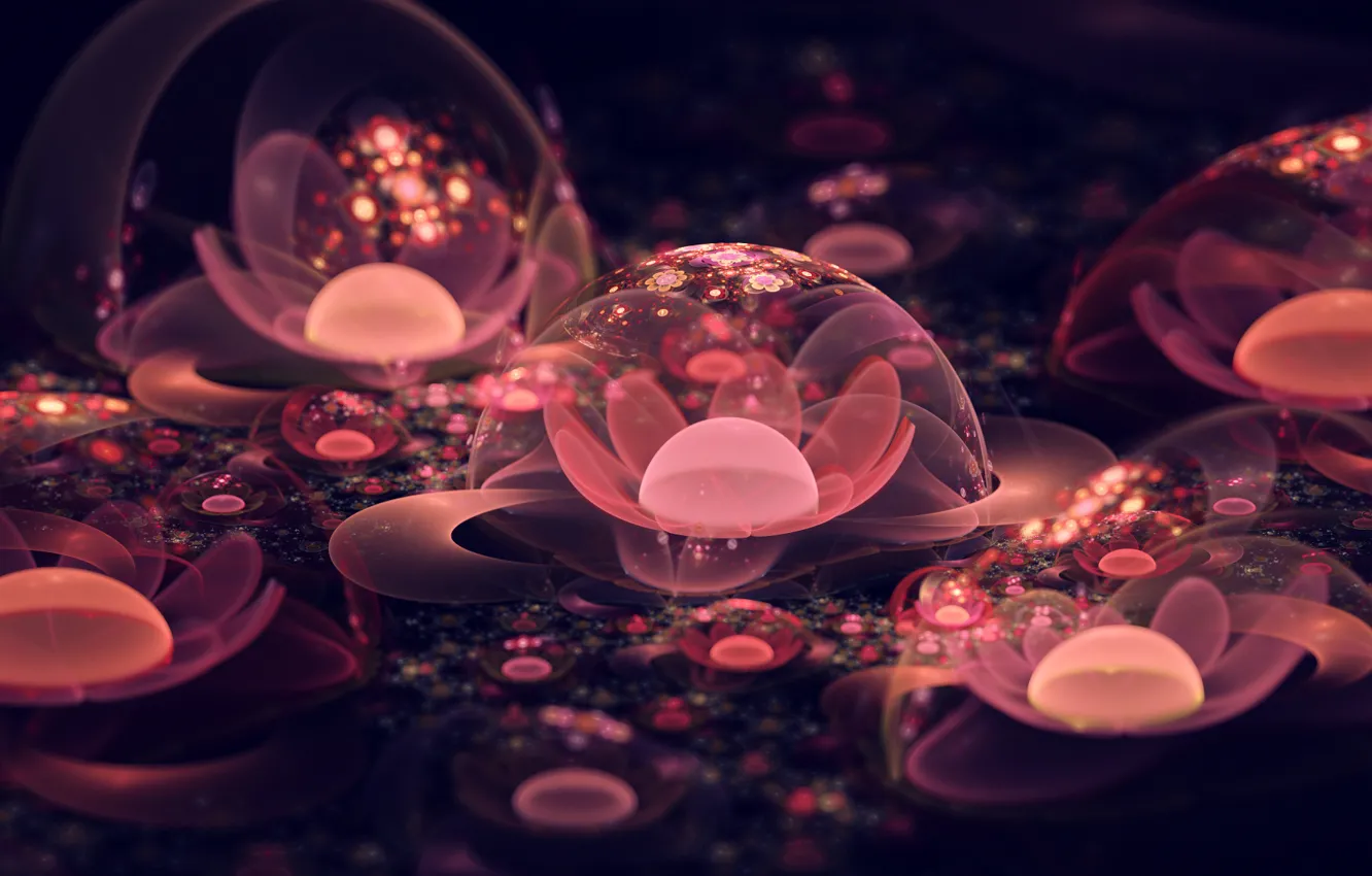 Photo wallpaper macro, flowers, abstraction, bubbles, flowers