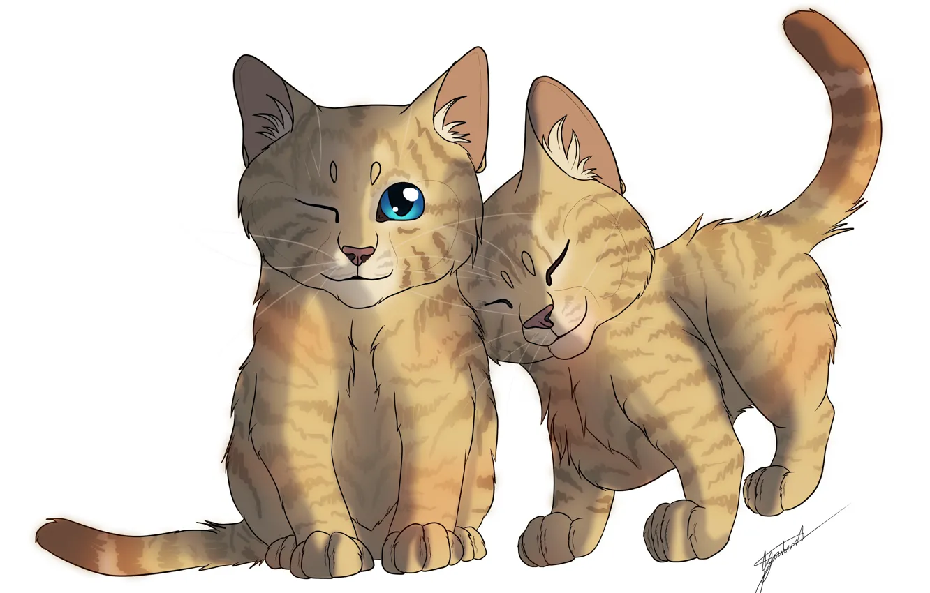 Photo wallpaper white background, kitty, two, striped