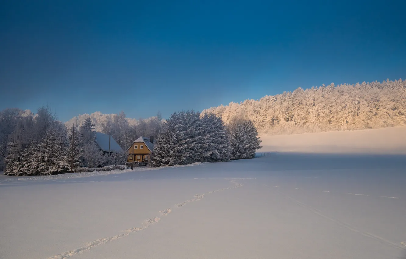 Photo wallpaper winter, forest, the sky, traces, house, Snow
