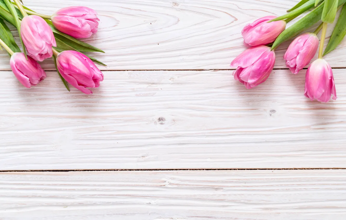 Photo wallpaper flowers, background, pink, bouquet, tulips