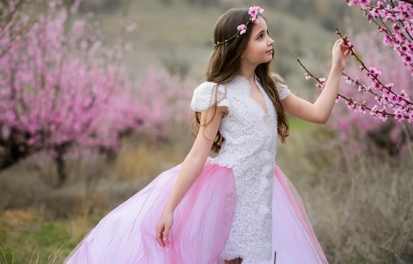Photo wallpaper trees, spring, Sakura, dress, girl, girl, flowering, pink