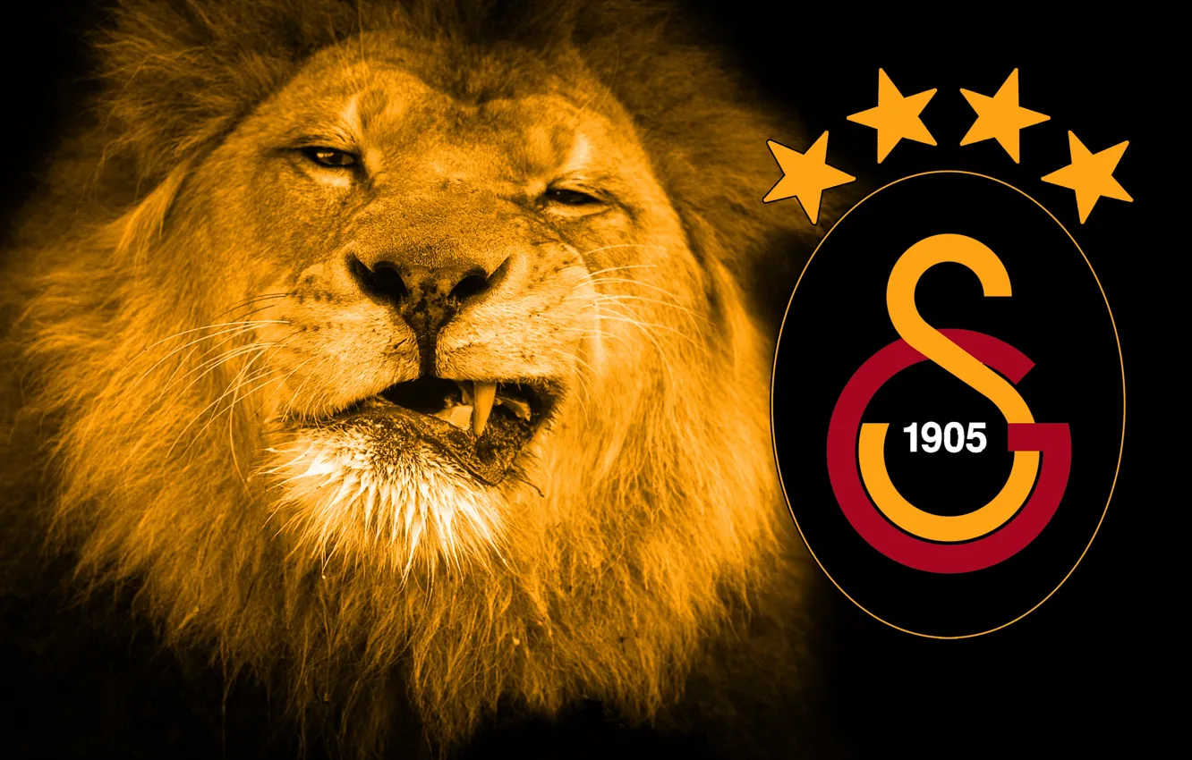 Photo wallpaper wallpaper, sport, logo, lion, football, Galatasaray