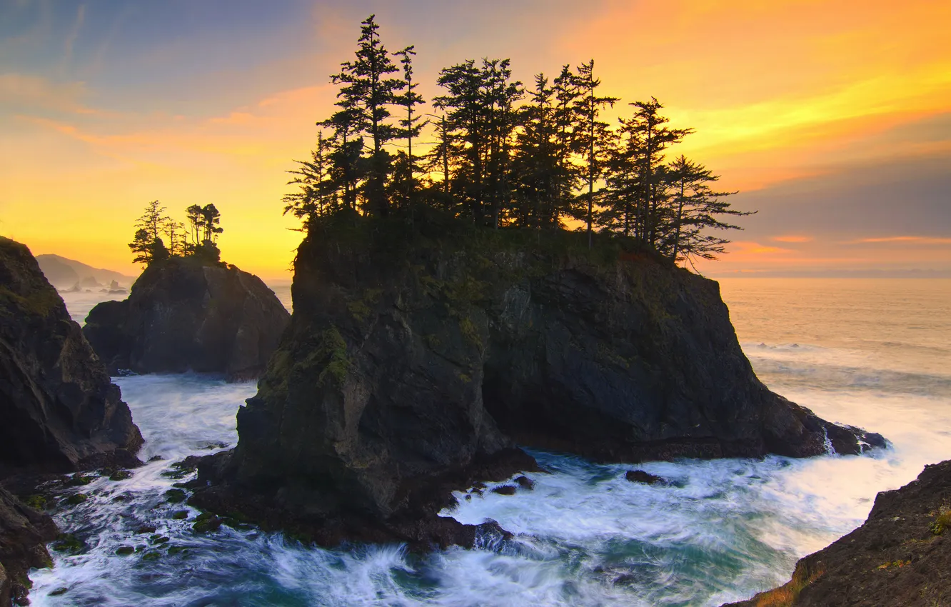 Photo wallpaper trees, the ocean, rocks, dawn, Oregon, USА, Carpenterville