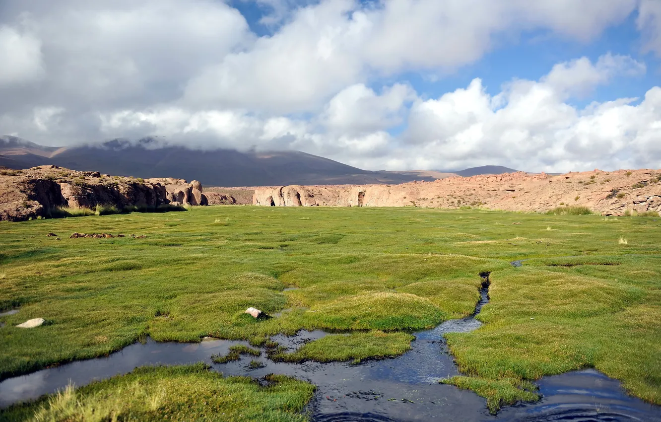 Photo wallpaper field, landscape, mountains, nature