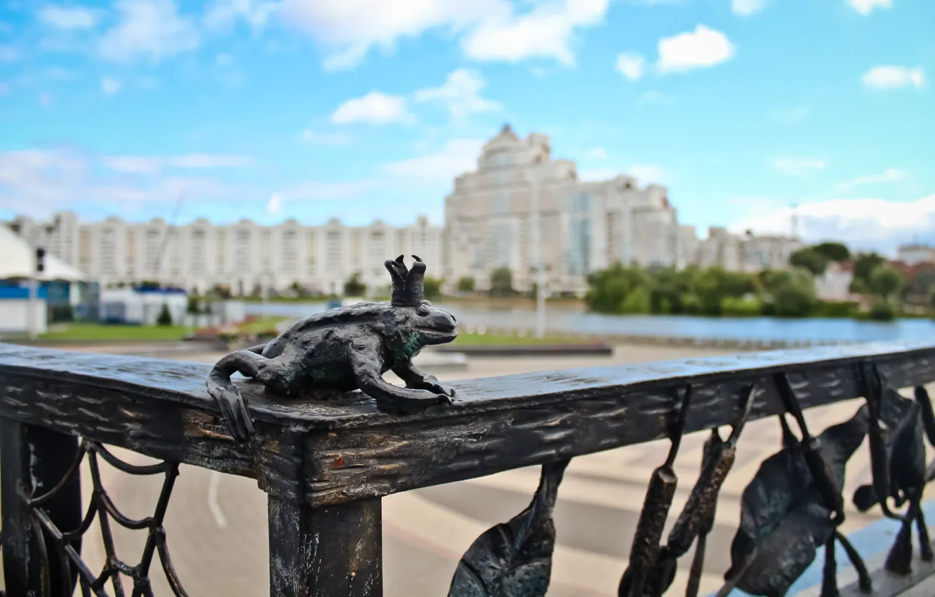 Photo wallpaper toad, Minsk, Nemiga