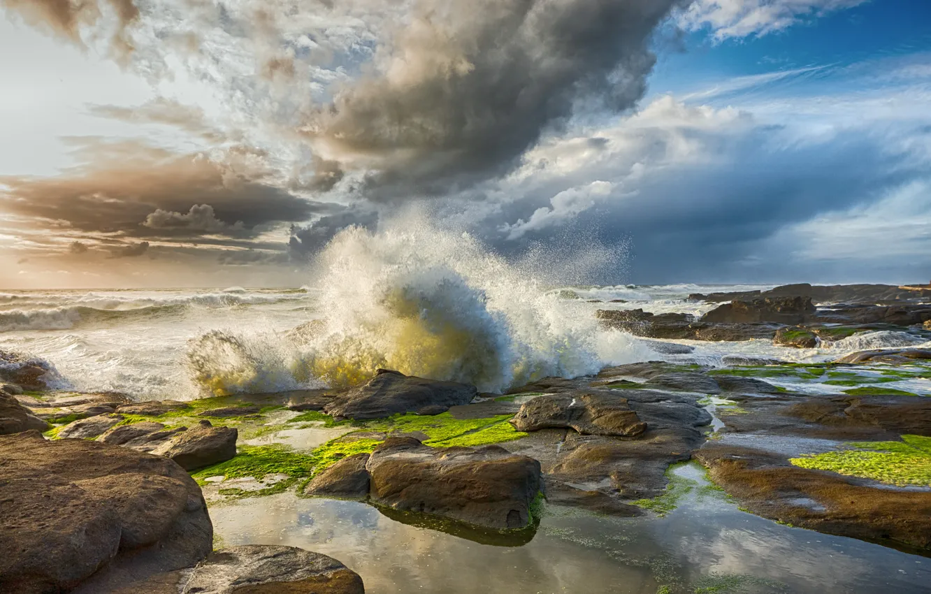 Photo wallpaper sea, wave, squirt, stones, rocks, dawn, coast