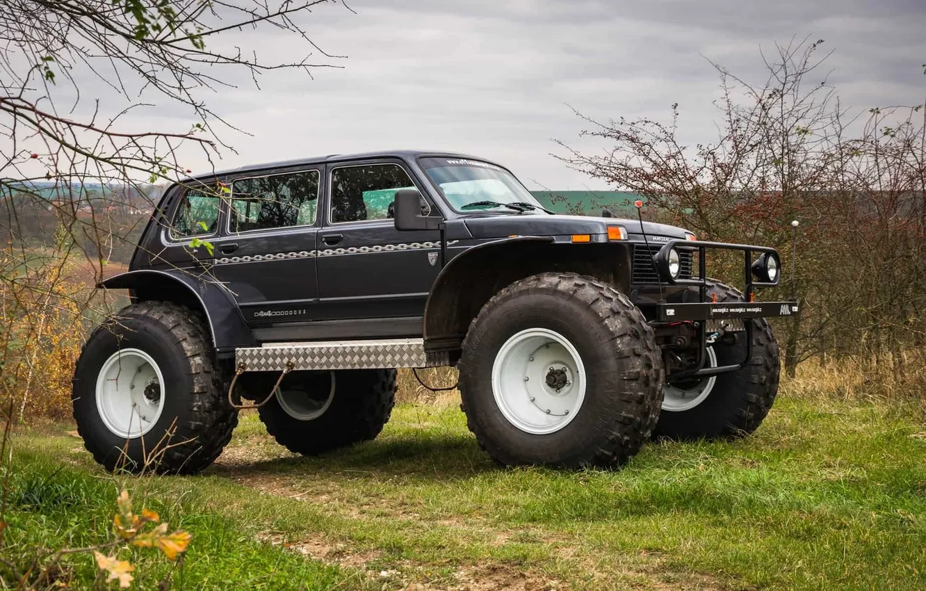 Photo wallpaper nature, Rover, black color