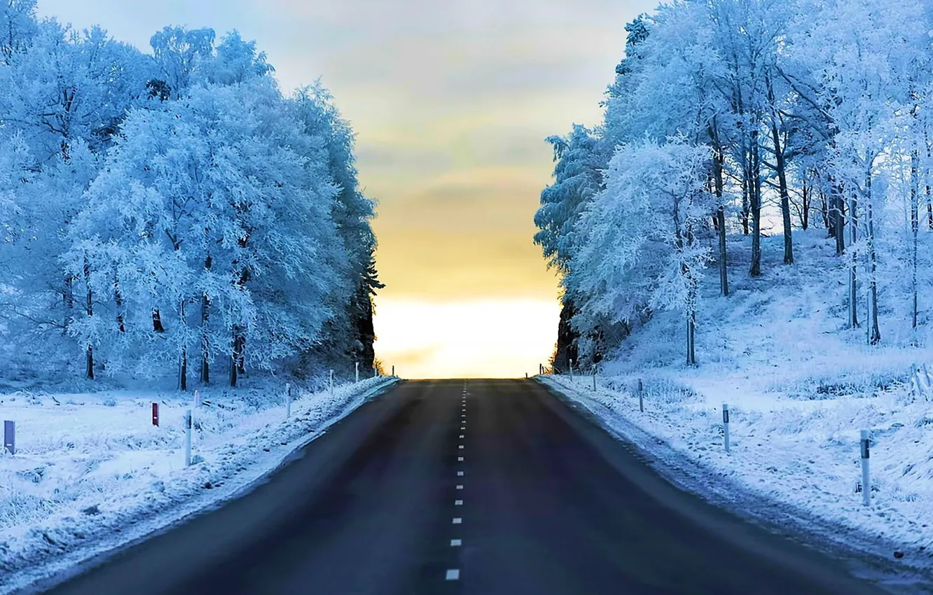 Photo wallpaper winter, forest, snow, road, trees, snow, road. winter