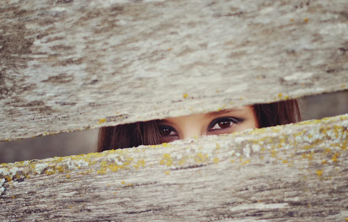 Photo wallpaper eyes, girl, the fence