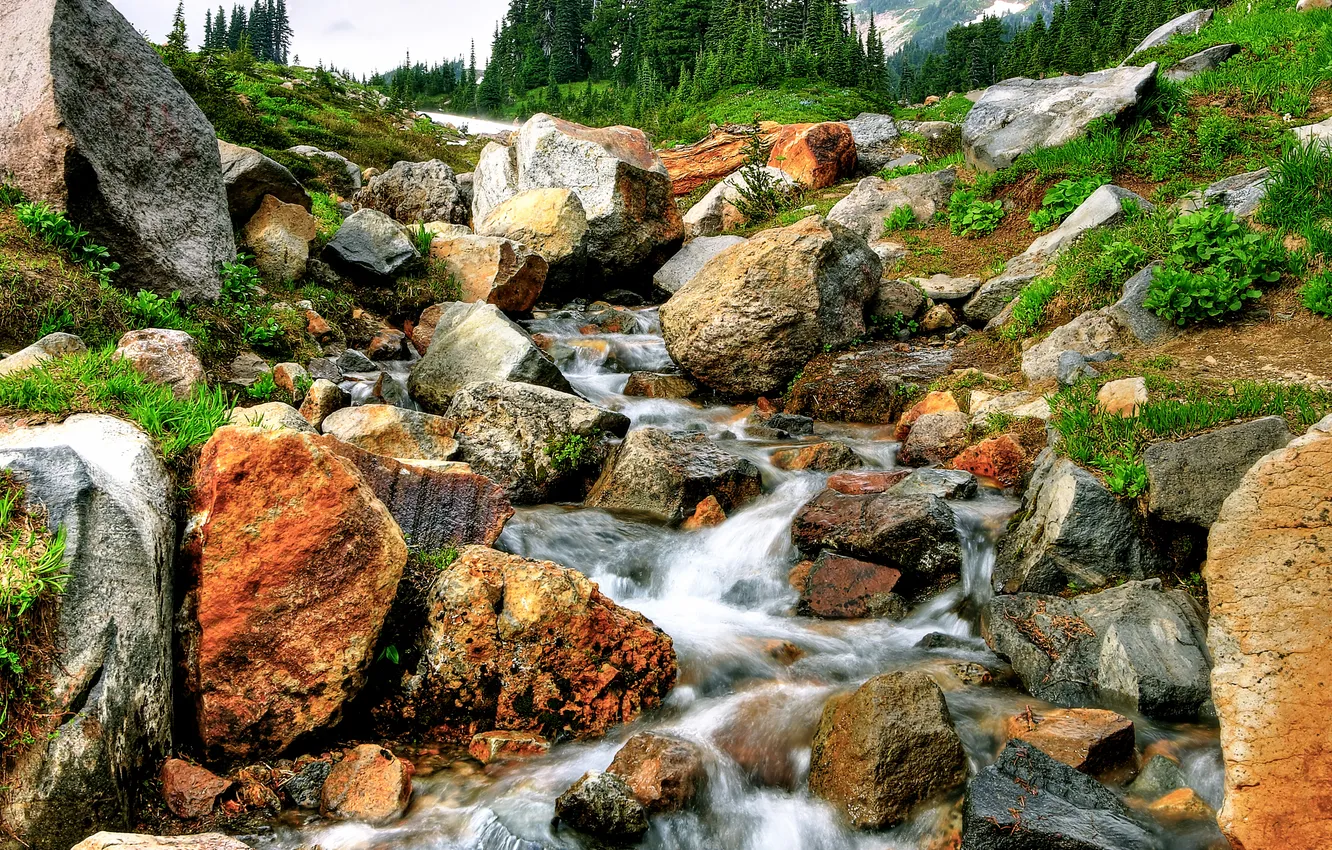Photo wallpaper grass, trees, mountains, river, stones, stream