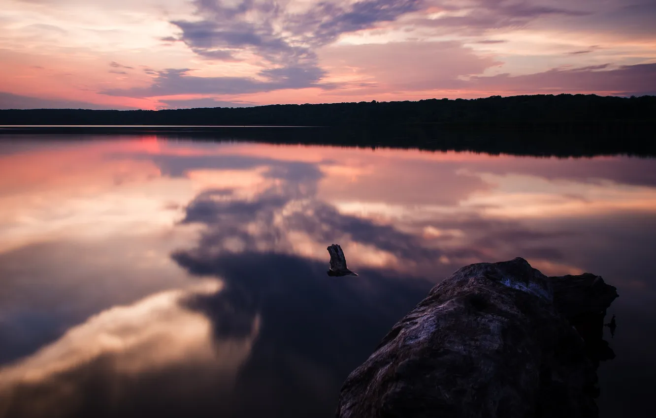 Wallpaper forest, sunset, lake, stones for mobile and desktop, section ...