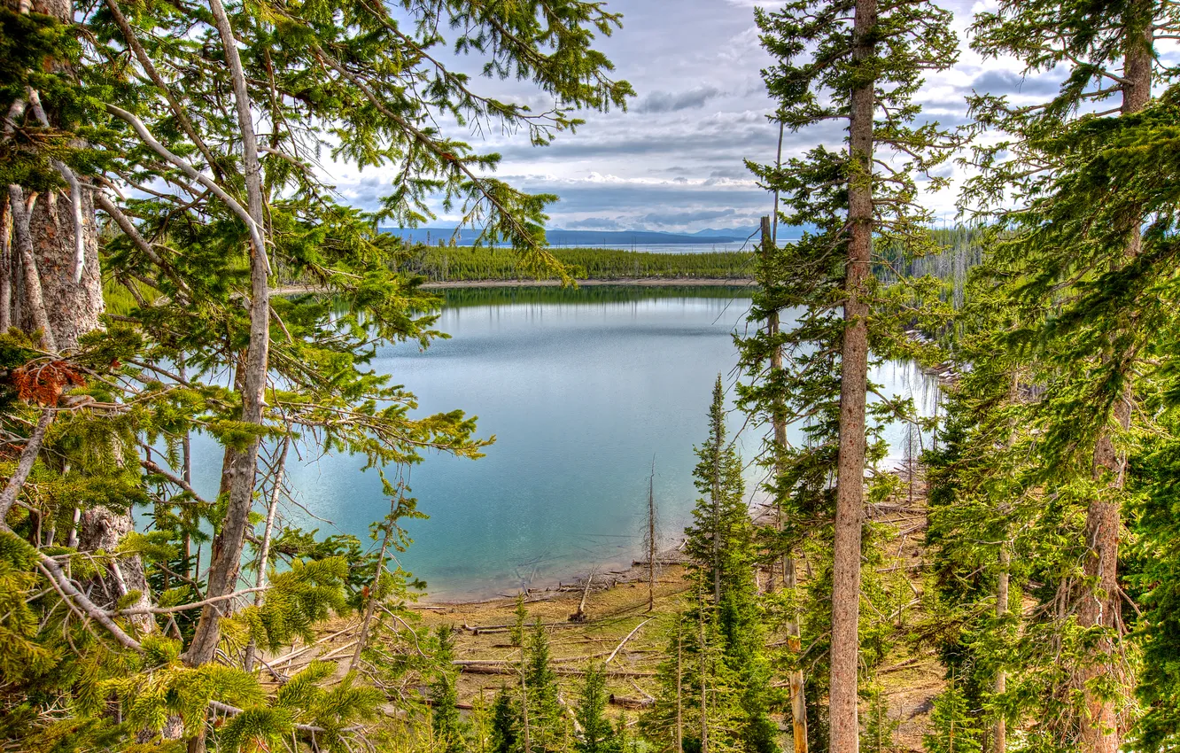 Photo wallpaper forest, the sky, clouds, trees, lake, USA, Yellowstone National Park