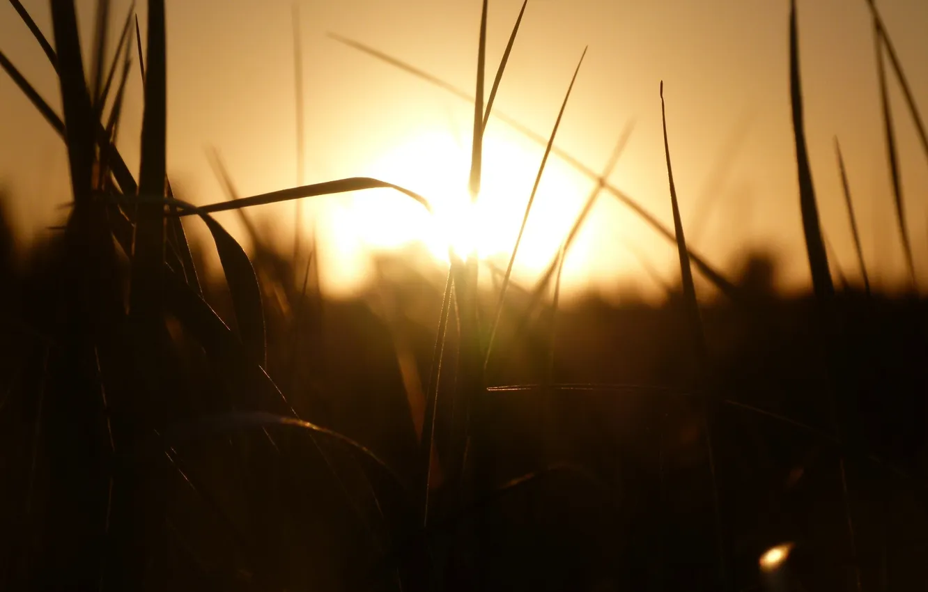 Photo wallpaper sunset, night, the evening