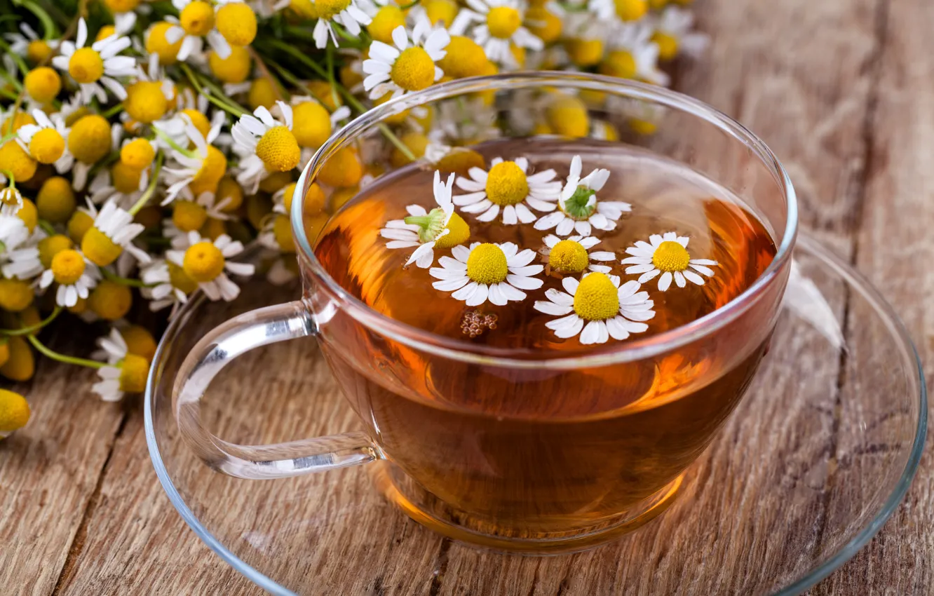 Photo wallpaper tea, Daisy, flowers