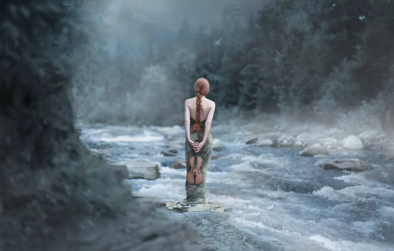 Photo wallpaper forest, girl, river, mood, violin, braid