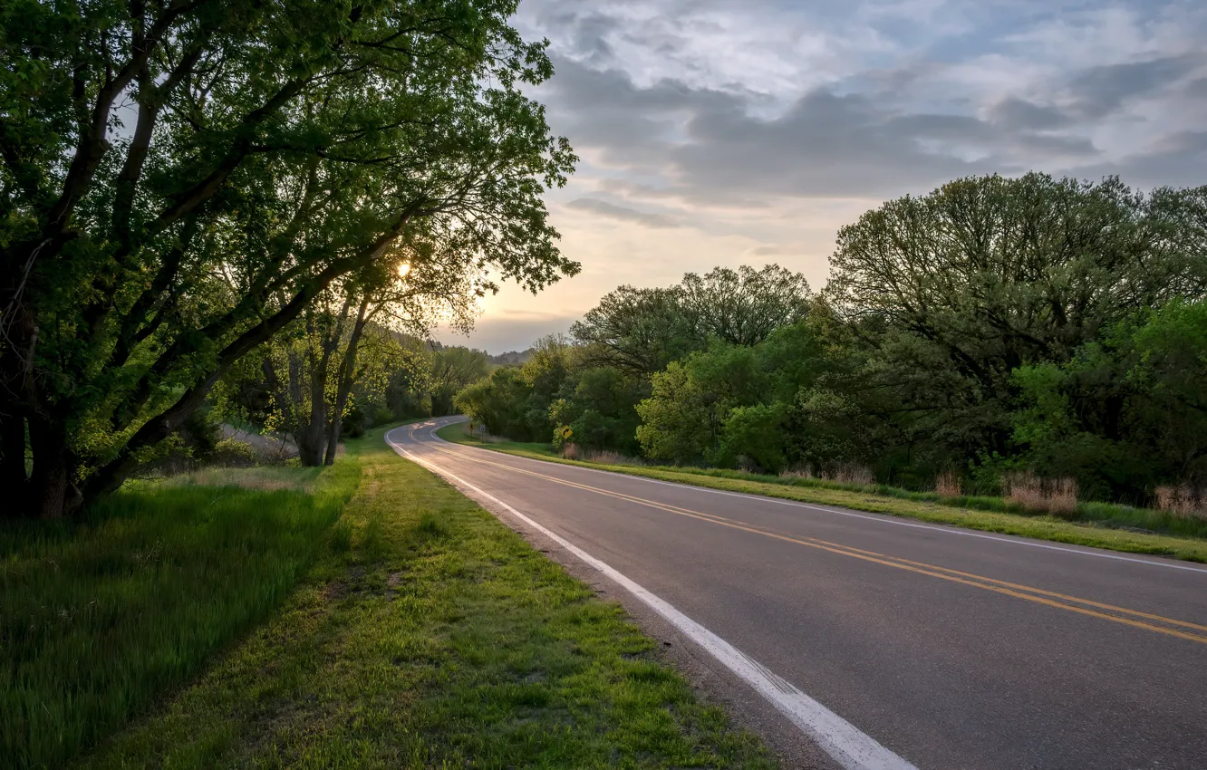 Photo wallpaper road, summer, nature