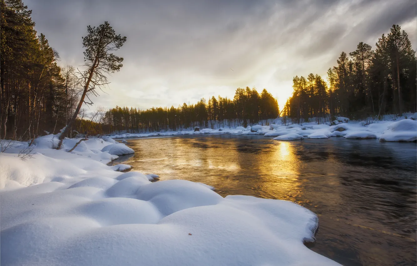 Photo wallpaper winter, forest, snow, landscape, nature, river, morning, Bank