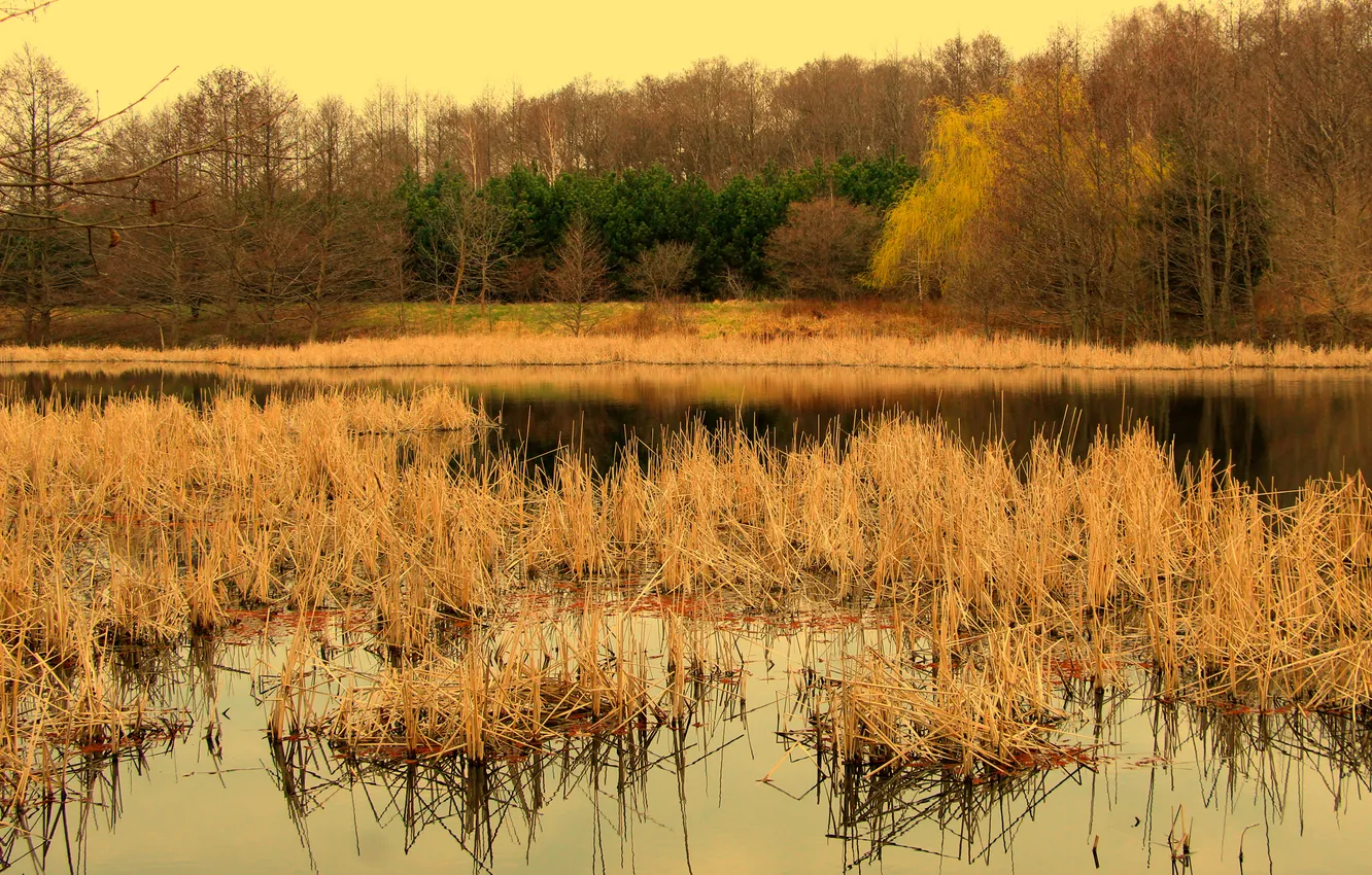 Photo wallpaper water, lake, pond