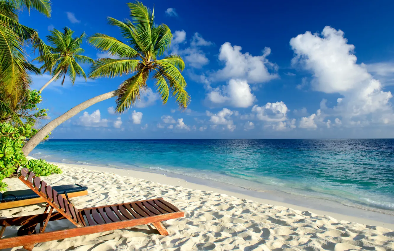 Photo wallpaper sea, beach, tropics, palm trees, stay