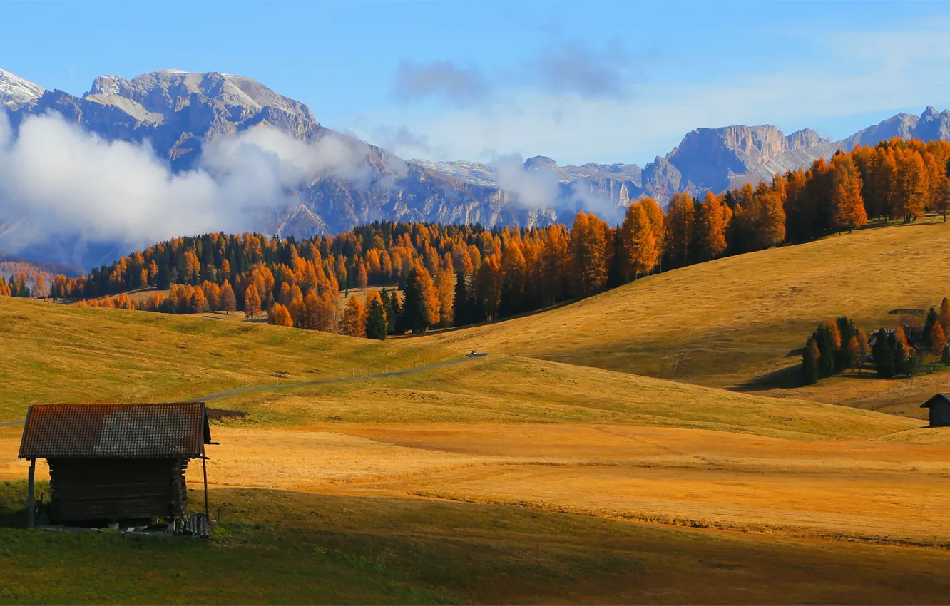 Photo wallpaper autumn, forest, trees, landscape, mountains, fog, field, Alps