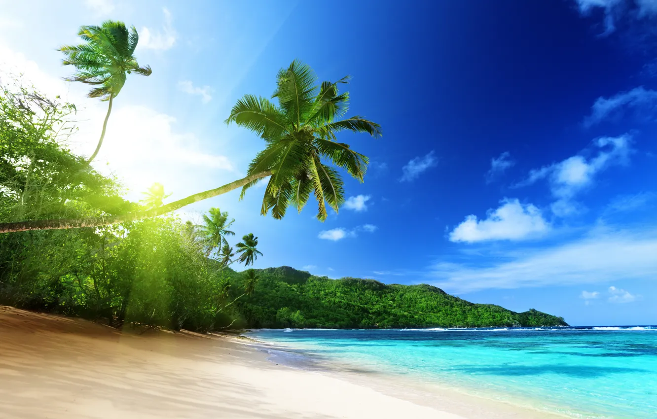 Photo wallpaper sand, sea, the sun, rays, trees, tropics, palm trees, heat