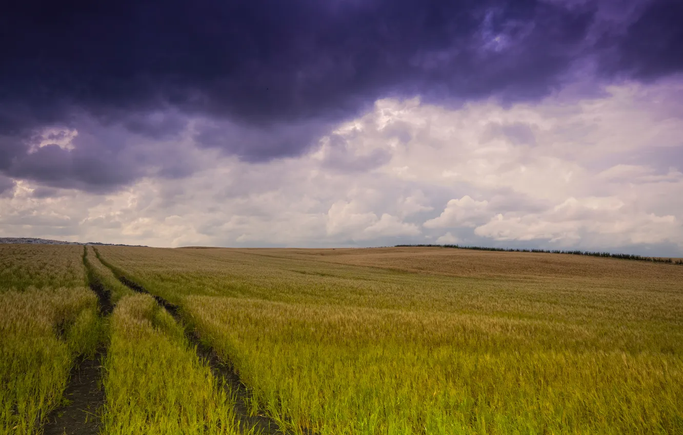 Photo wallpaper field, the sky, clouds, clouds