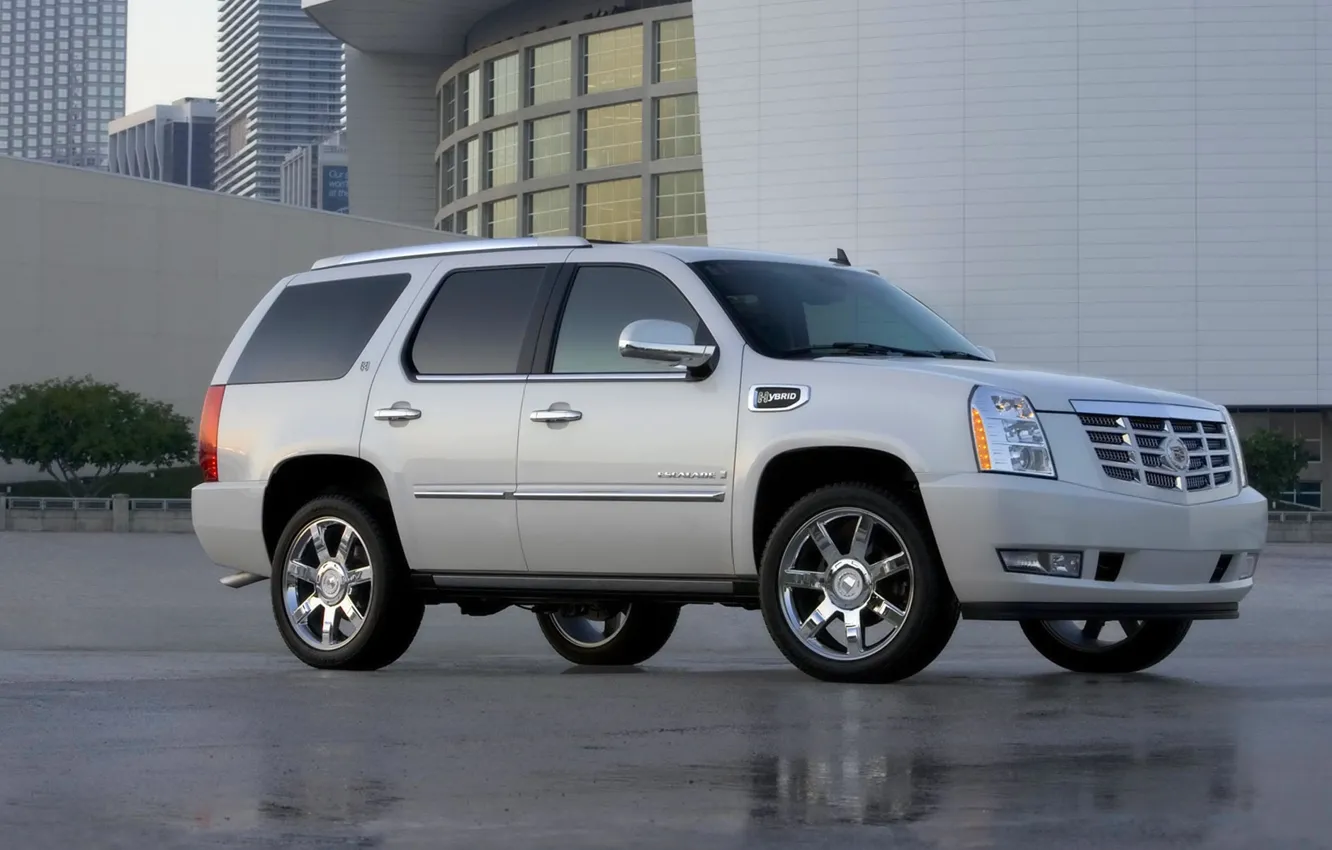 Photo wallpaper Cadillac, Auto, White, Asphalt, Jeep, Side view, escalade, Wet