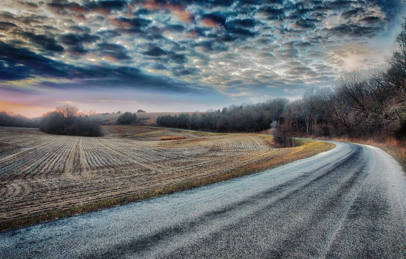Photo wallpaper road, field, the sky