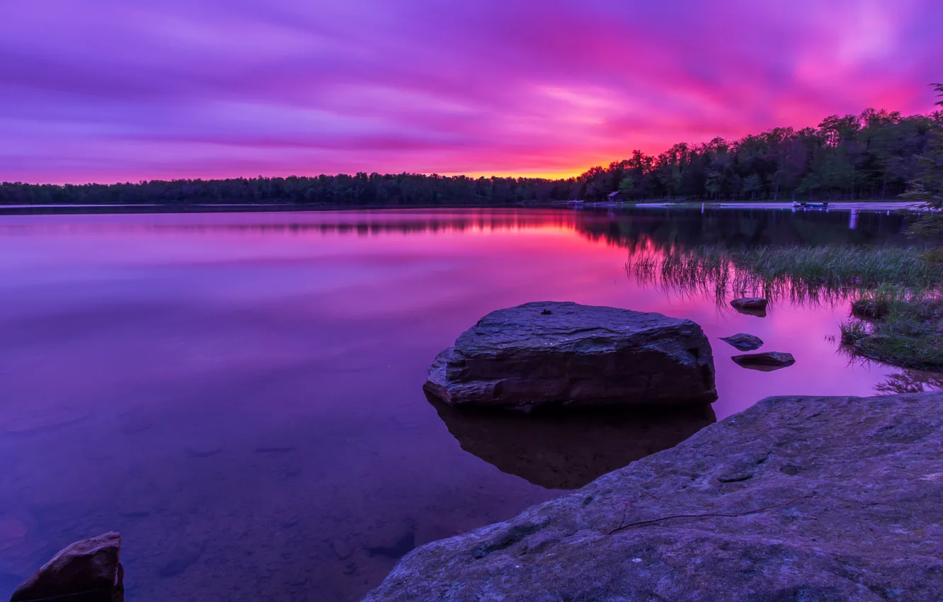Photo wallpaper forest, lake, stones, lilac, dawn