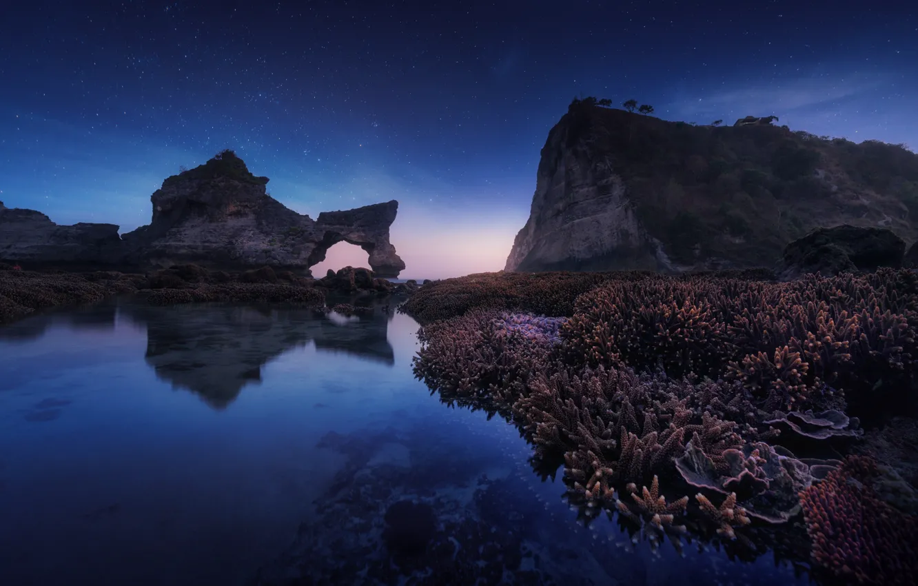 Photo wallpaper sea, the sky, stars, night, rocks