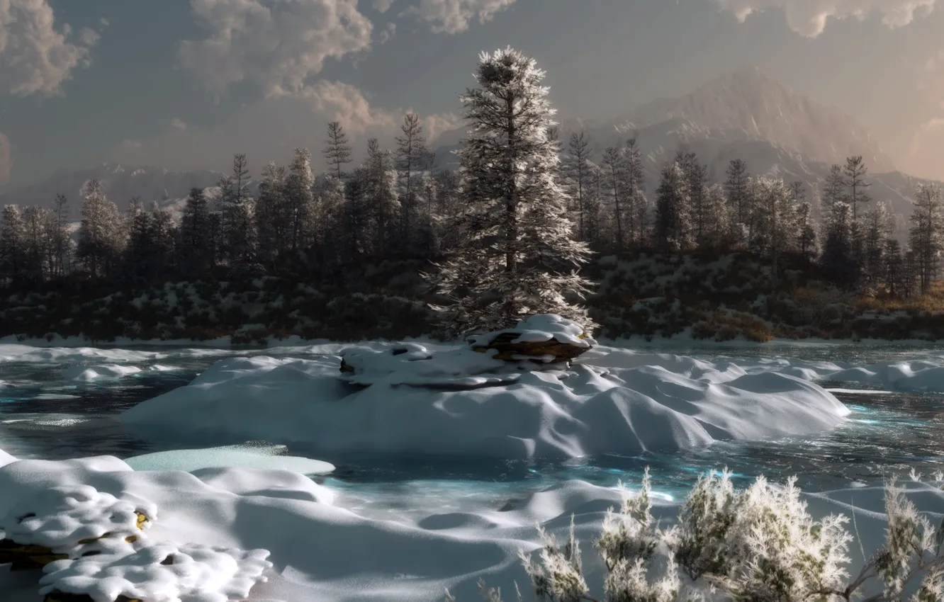 Photo wallpaper winter, forest, snow, landscape
