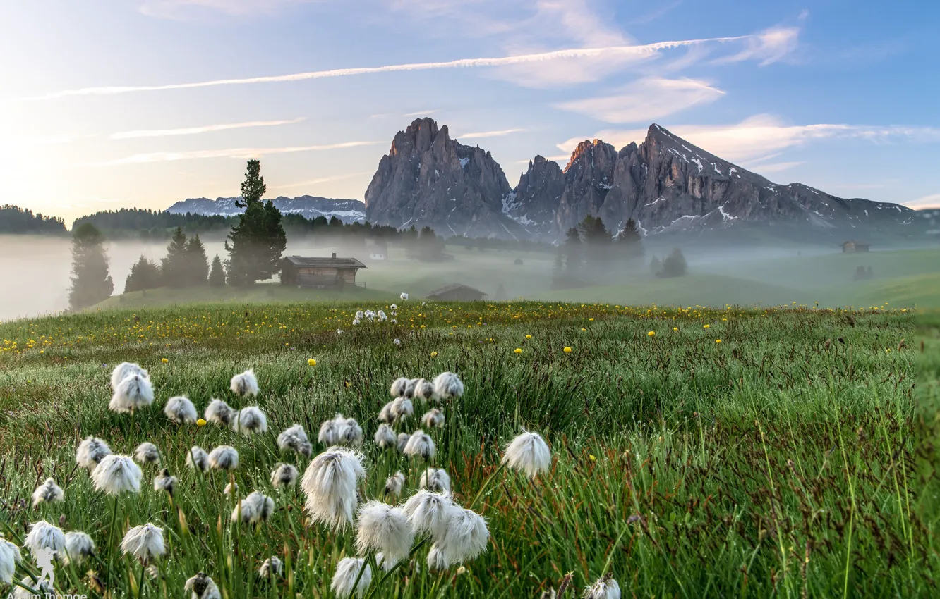 Photo wallpaper field, mountains, nature, fog, morning