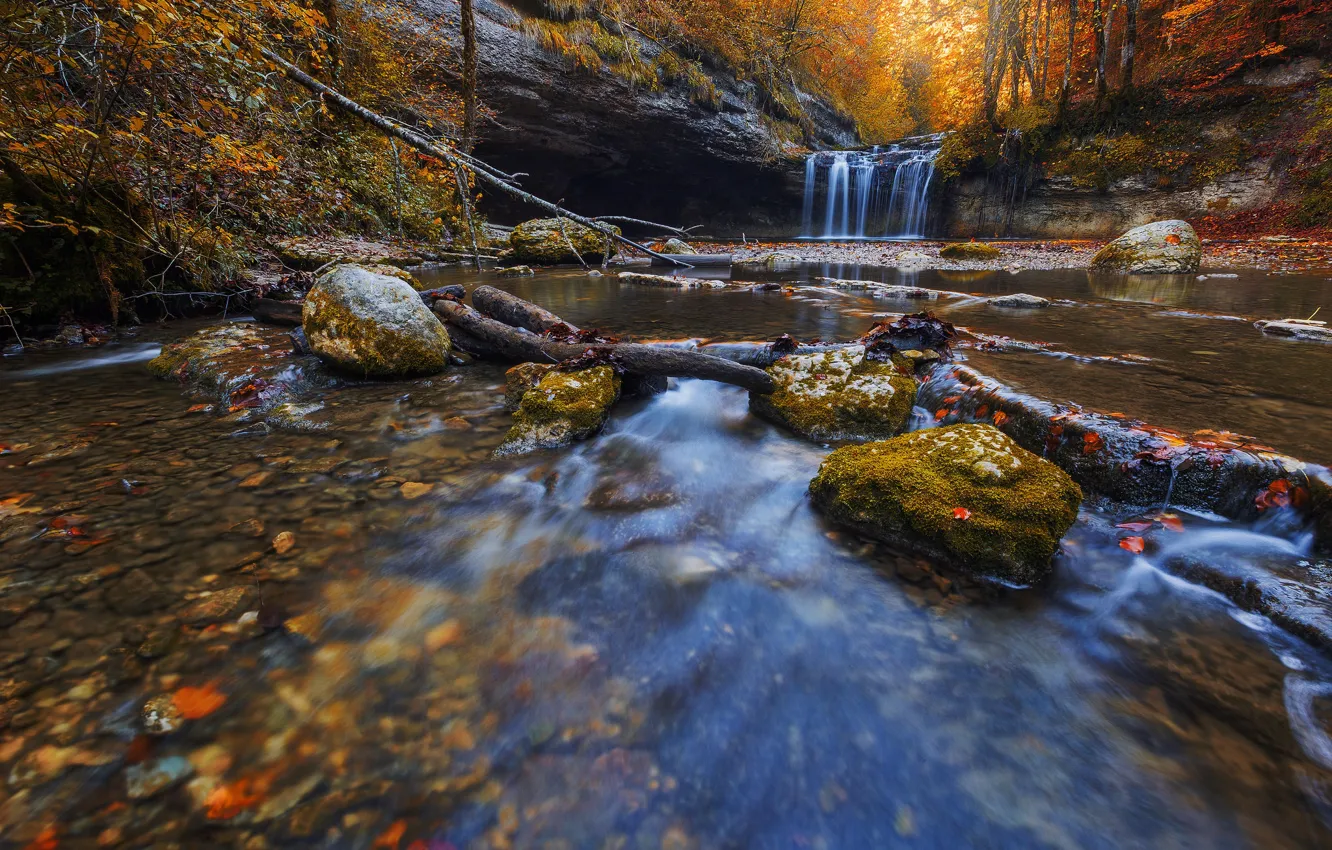 Photo wallpaper autumn, forest, leaves, waterfall, stream