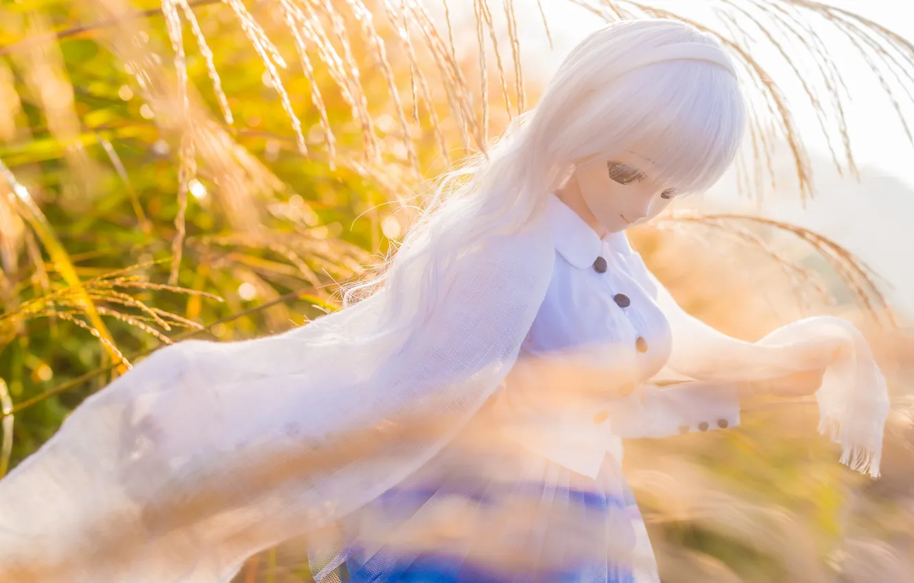Photo wallpaper grass, the wind, toy, doll, blonde