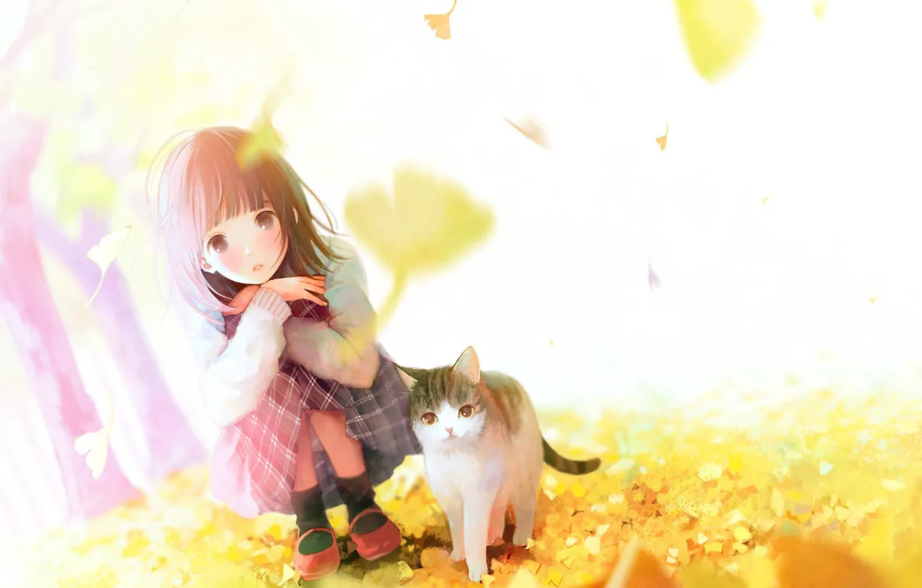 Photo wallpaper the wind, girl, socks, falling leaves, squat, tabby cat, autumn leaves, Sunny day
