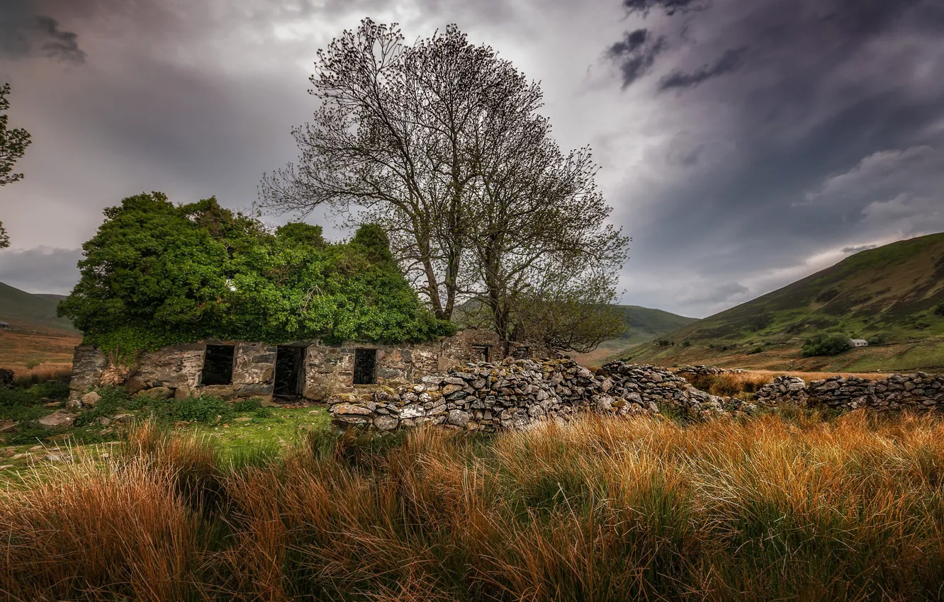 Photo wallpaper summer, the fence, home