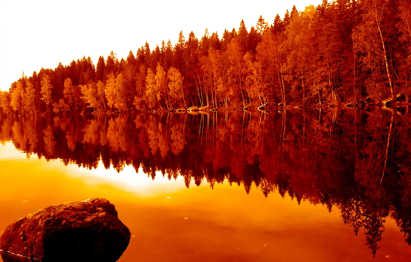 Photo wallpaper autumn, forest, trees, nature, reflection, river, forest, river