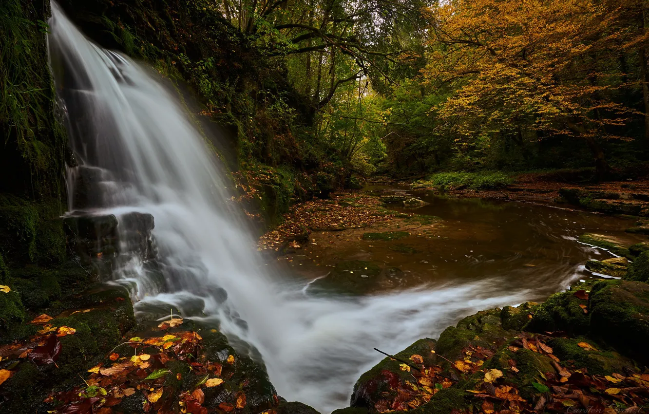 Photo wallpaper autumn, forest, waterfall, Germany, river, fallen leaves