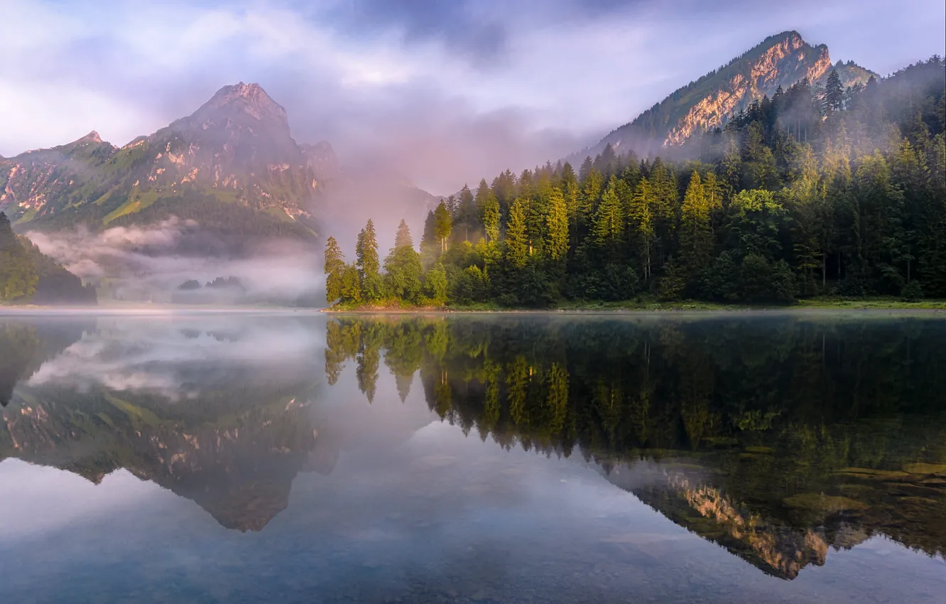 Photo wallpaper forest, clouds, mountains, fog, reflection, rocks, shore, morning