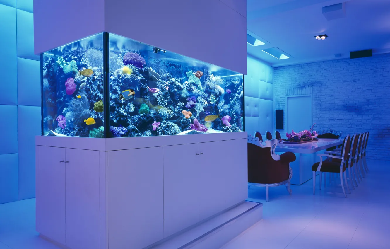 Photo wallpaper fish, table, room, chairs, aquarium, corral, sea, interior