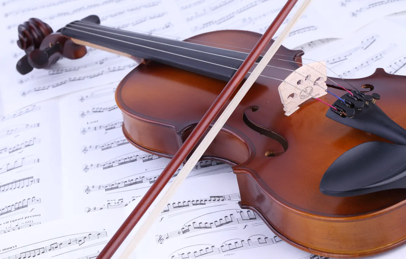 Photo wallpaper notes, music, violin, book
