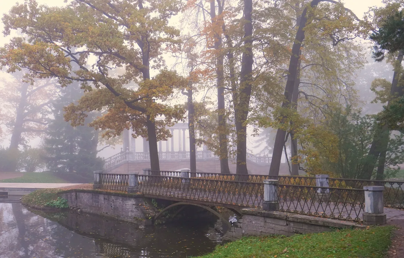 Photo wallpaper trees, bridge, the city, lake, pond, Park, branch, shore