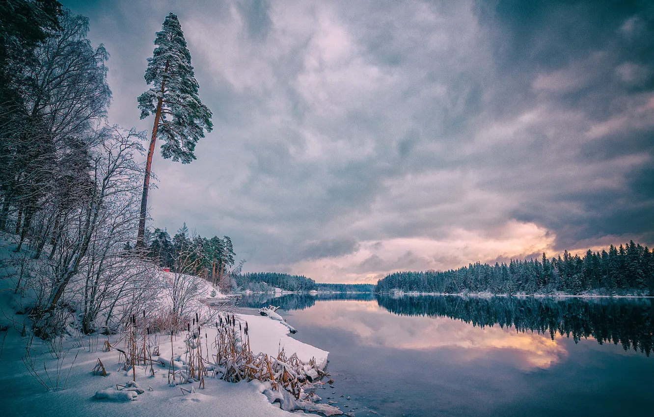 Photo wallpaper winter, snow, landscape, clouds, nature, river, frost, forest