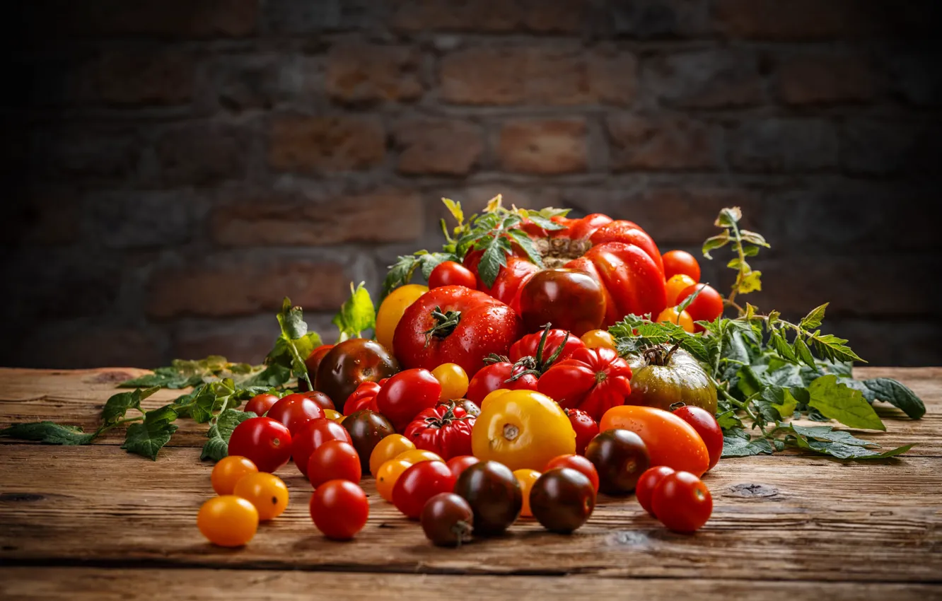 Photo wallpaper Board, harvest, tomatoes, different, a lot, brick wall, home