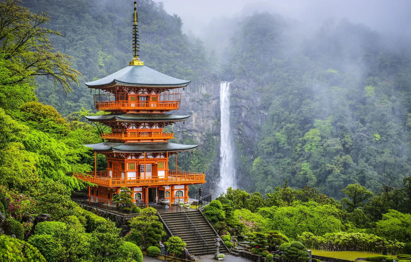 Photo wallpaper forest, clouds, trees, landscape, nature, fog, plant, waterfall