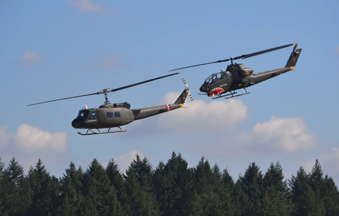 Photo wallpaper flight, helicopters, pair, blades