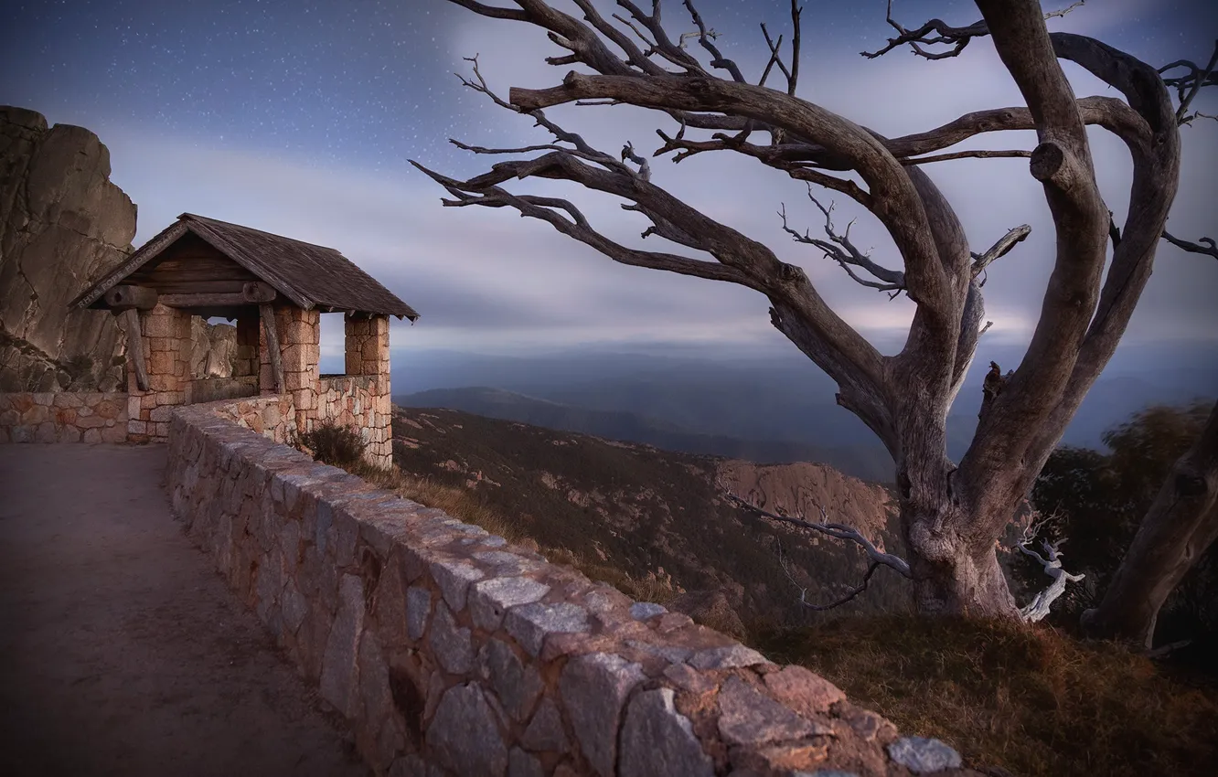 Photo wallpaper night, tree, Australia, Mount Buffalo