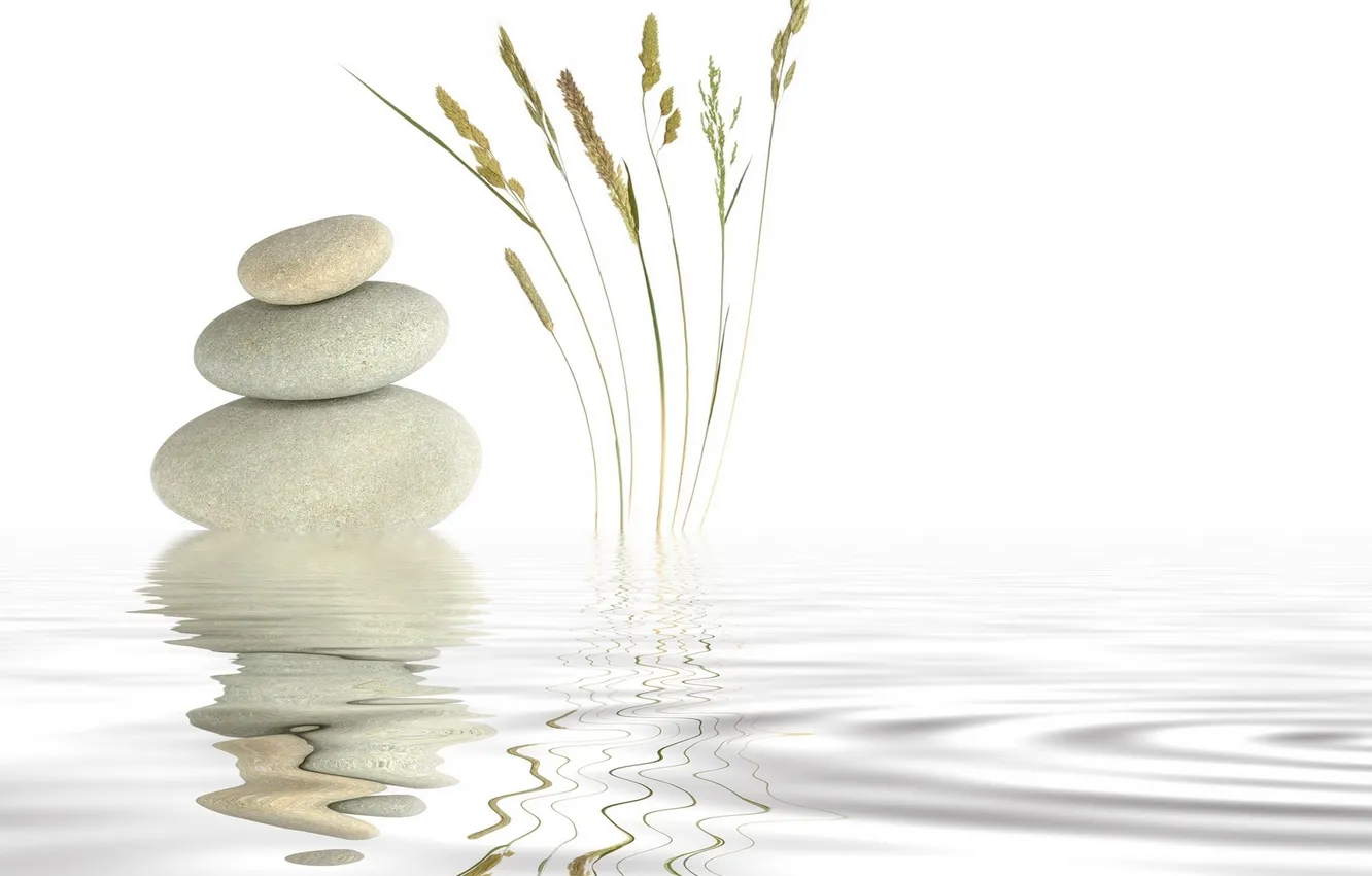Photo wallpaper white, water, stones, reed