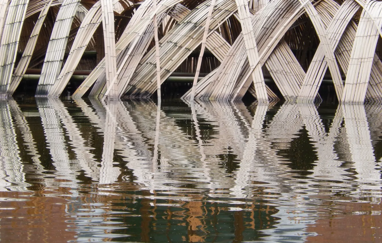 Photo wallpaper reflection, background, widescreen, Wallpaper, bamboo, wallpaper, pond, widescreen