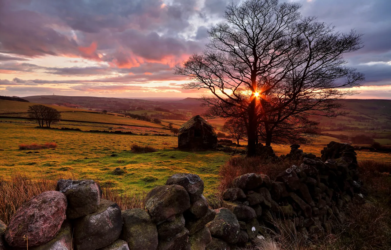 Photo wallpaper field, trees, sunset, stones, house